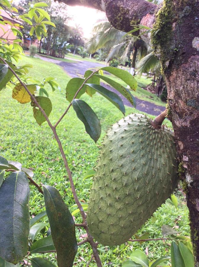 Confort Arenal La Fortuna Luaran gambar